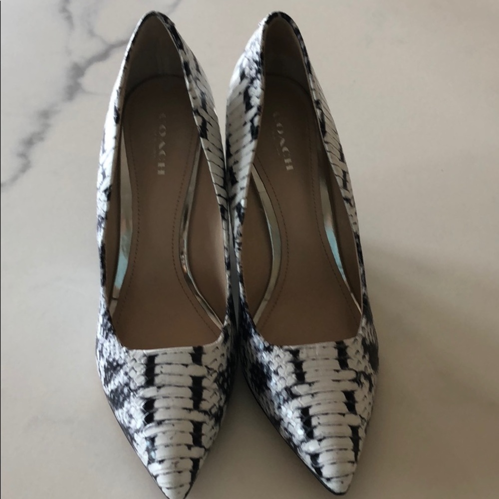 Brand New Orchard Graphic Print Snake. White.